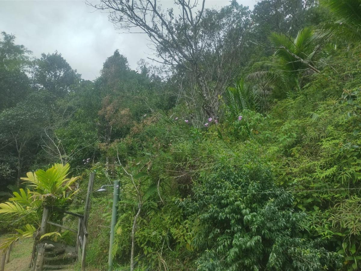 Hotel Ribeira Beach Ubatuba Exterior photo